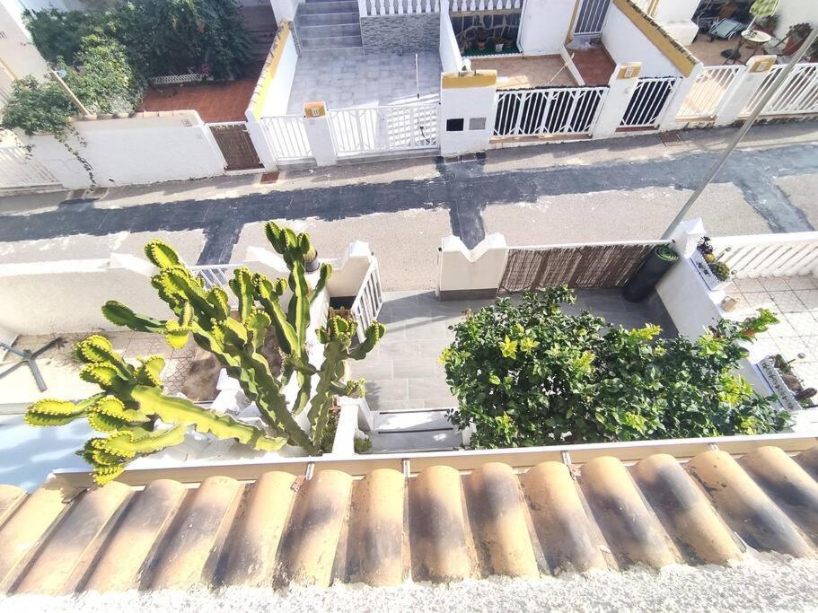 Rincon Mediterraneo 格兰阿利坎特 外观 照片
