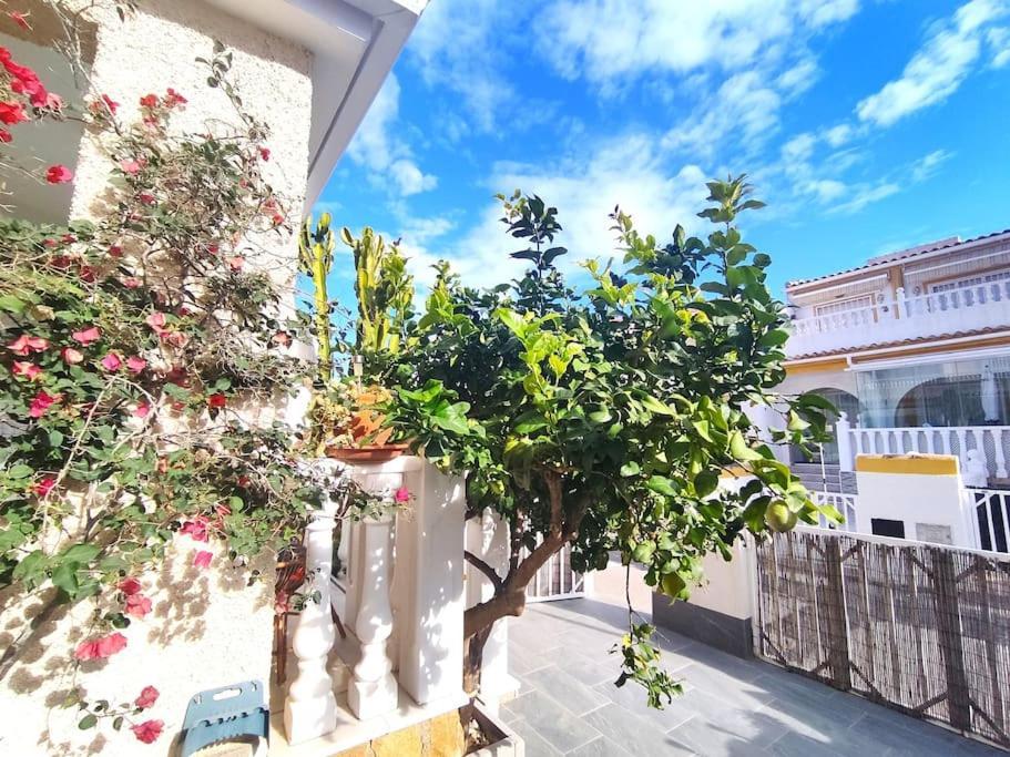 Rincon Mediterraneo 格兰阿利坎特 外观 照片