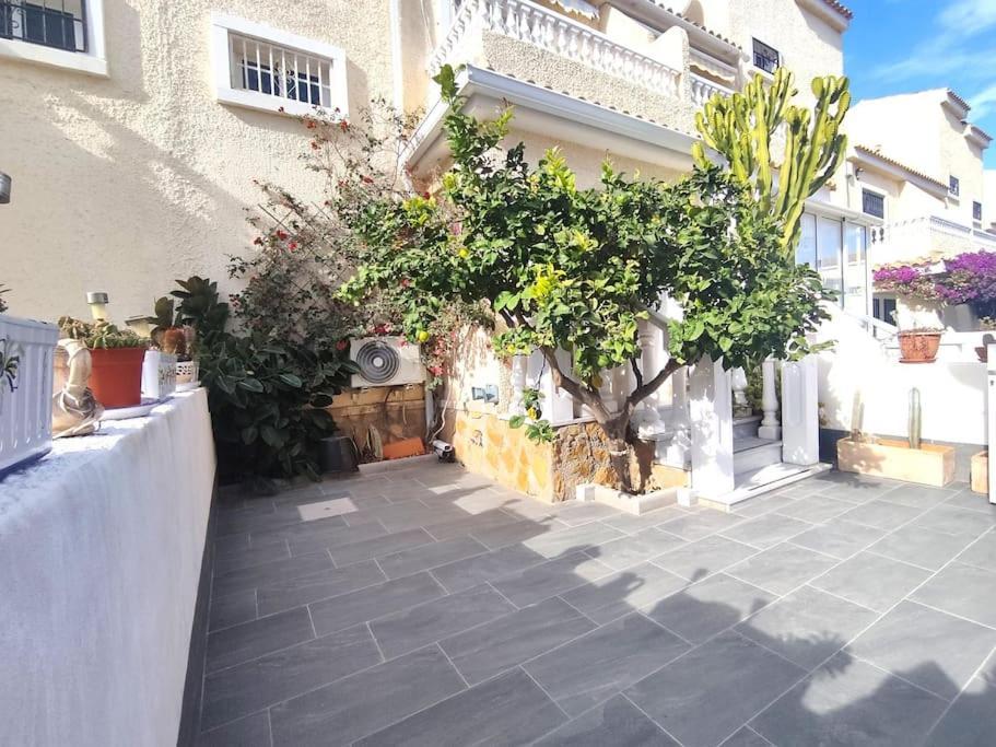 Rincon Mediterraneo 格兰阿利坎特 外观 照片